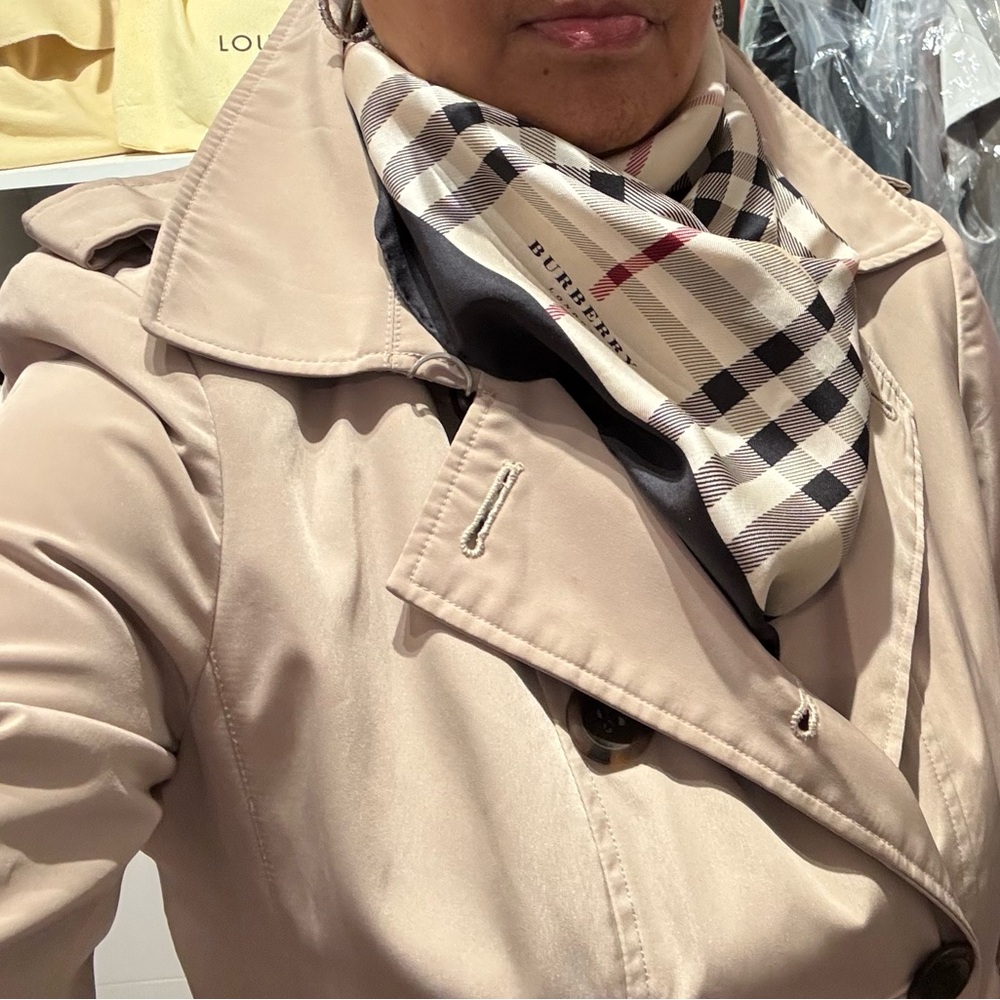 Burberry Beige and Red Plaid Scarf - Picture 5 of 8